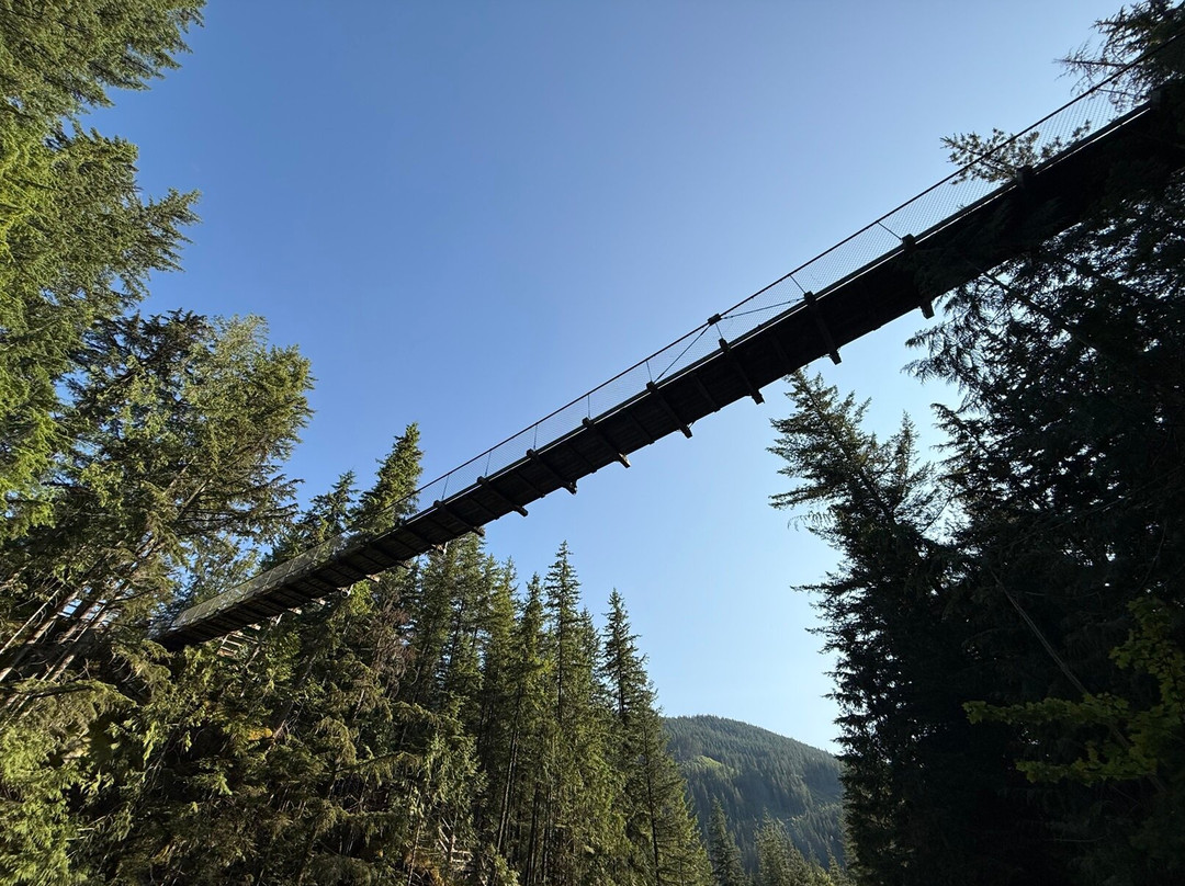 Crazy Creek Suspension Bridge-Malakwa必去景点
