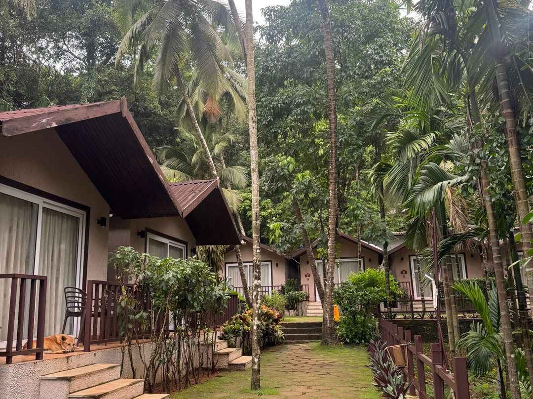 Stone Wood Premier Gokarna主图