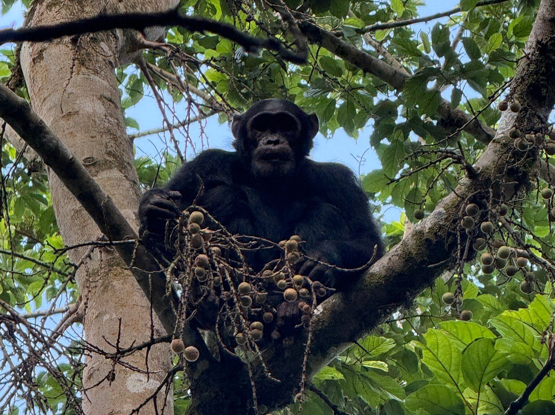 Explore RwandaTours-吉佳利必去景点
