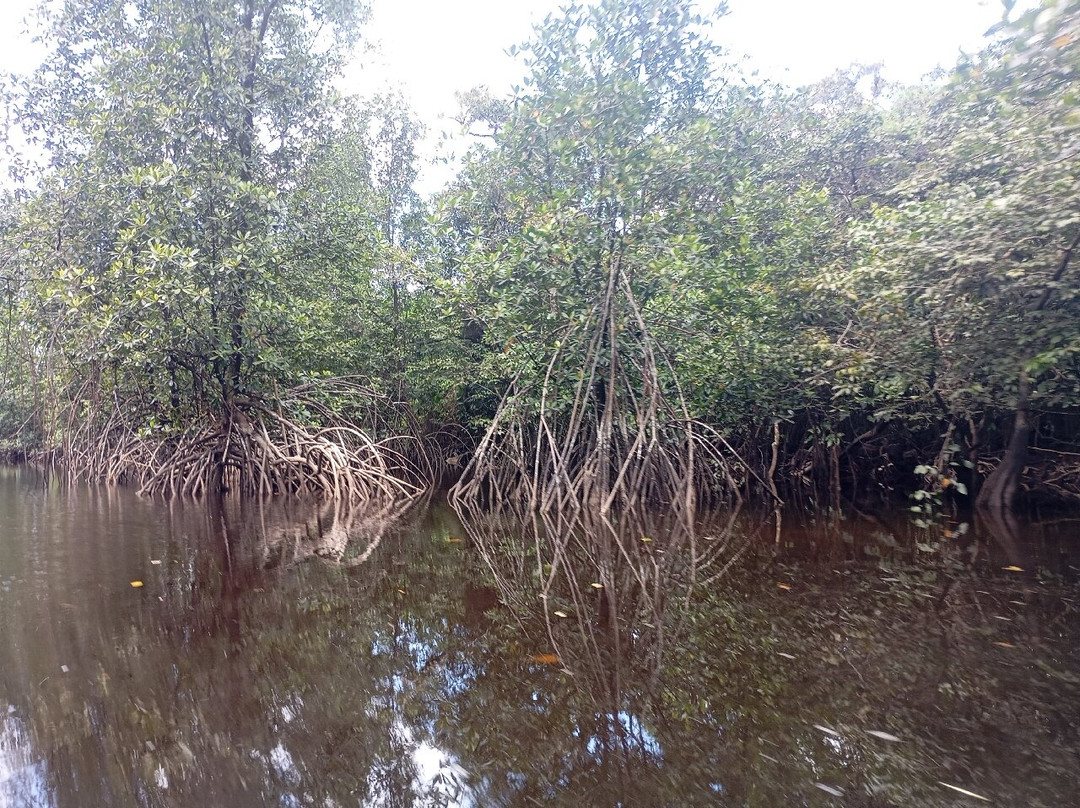 Crique Gabriel-卡宴必去景点