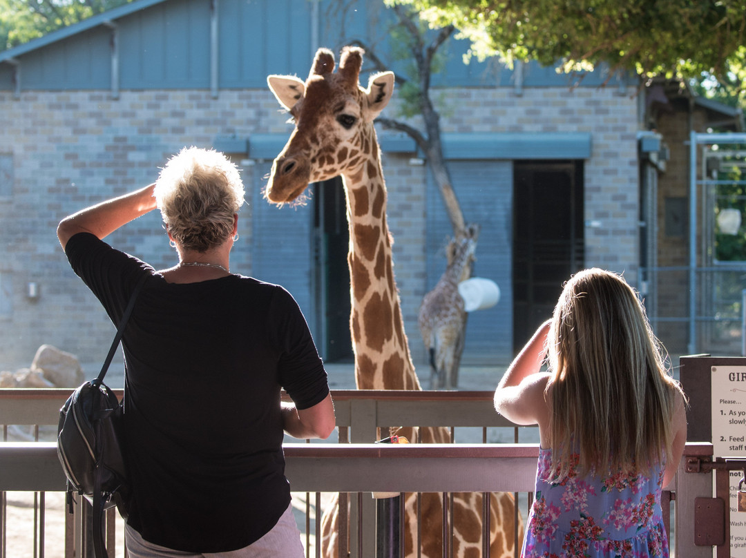 Sacramento Zoo-沙加缅度必去景点