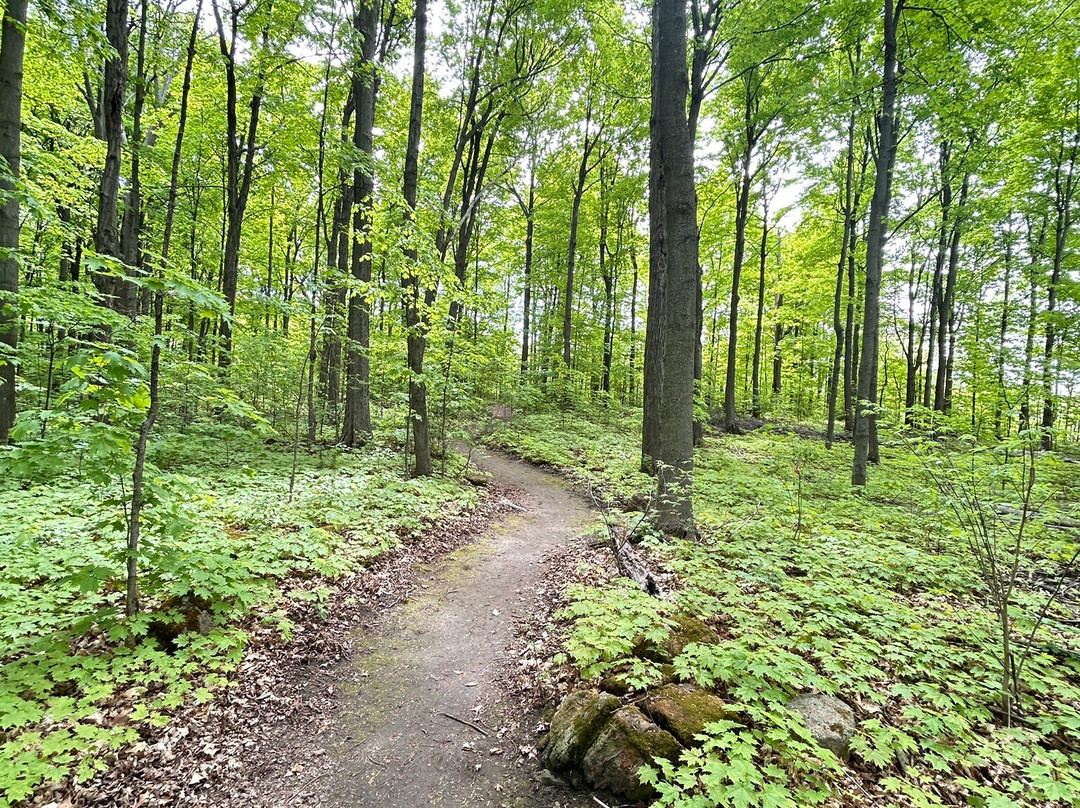 Parc Regional des Iles-de-Saint-Timothee-Salaberry-de-Valleyfield必去景点