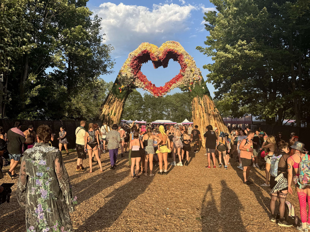 Electric Forest-Montague必去景点