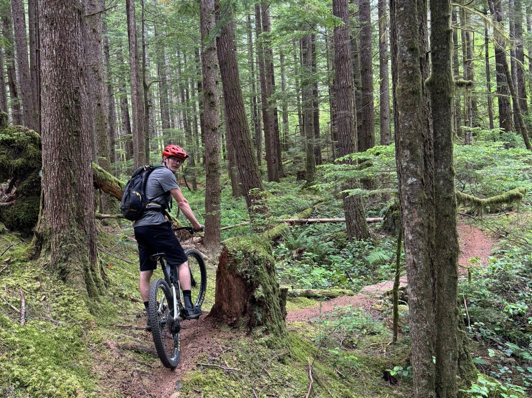 Island Mountain Rides-Cumberland必去景点