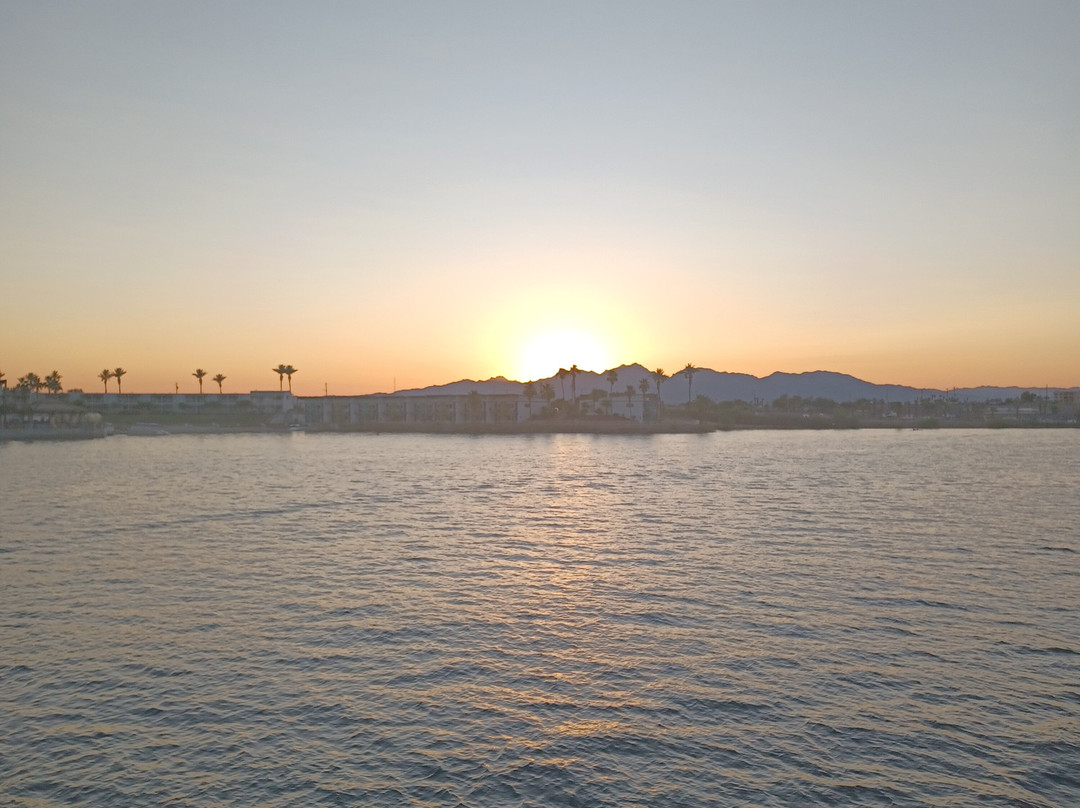 Dixie Belle Lake Havasu City-哈瓦苏湖城必去景点