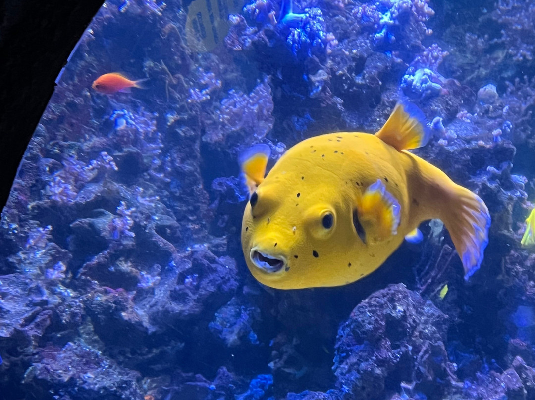 SEA LIFE Helsinki-赫尔辛基必去景点