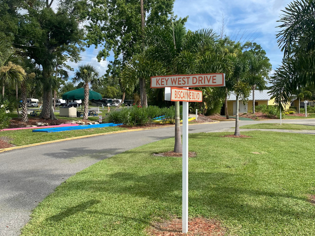 Encore Tropical Palms主图