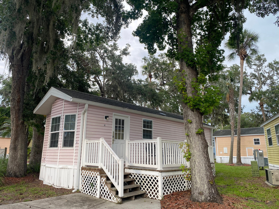 Encore Tropical Palms主图