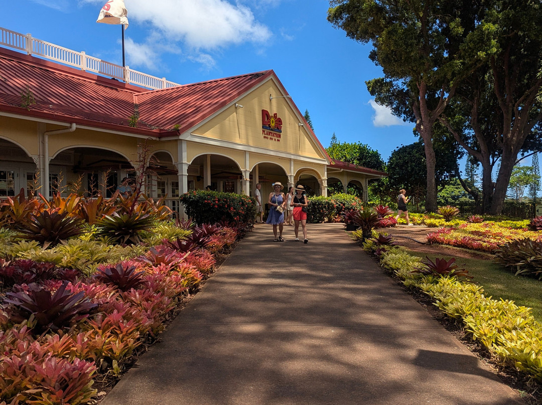 Aina Tours llc-火奴鲁鲁必去景点