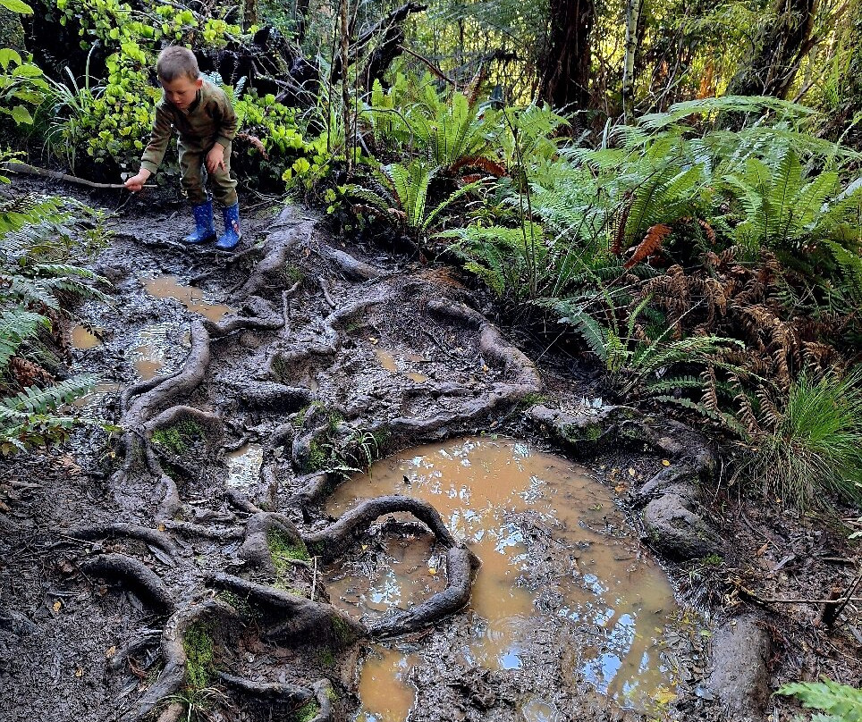 Waiohine Gorge Suspension Bridge-Carterton必去景点