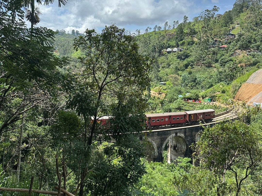 Comfort Travel & Tours-科伦坡必去景点