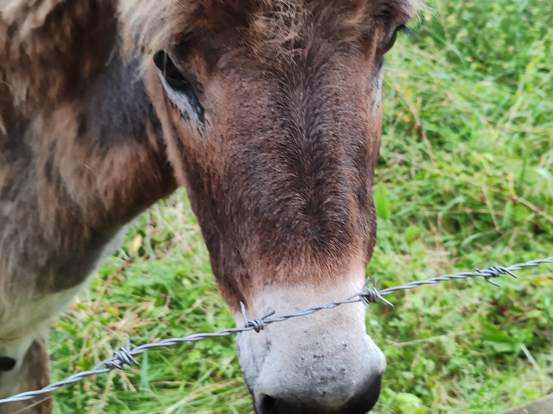 Balneario Elgorriaga主图