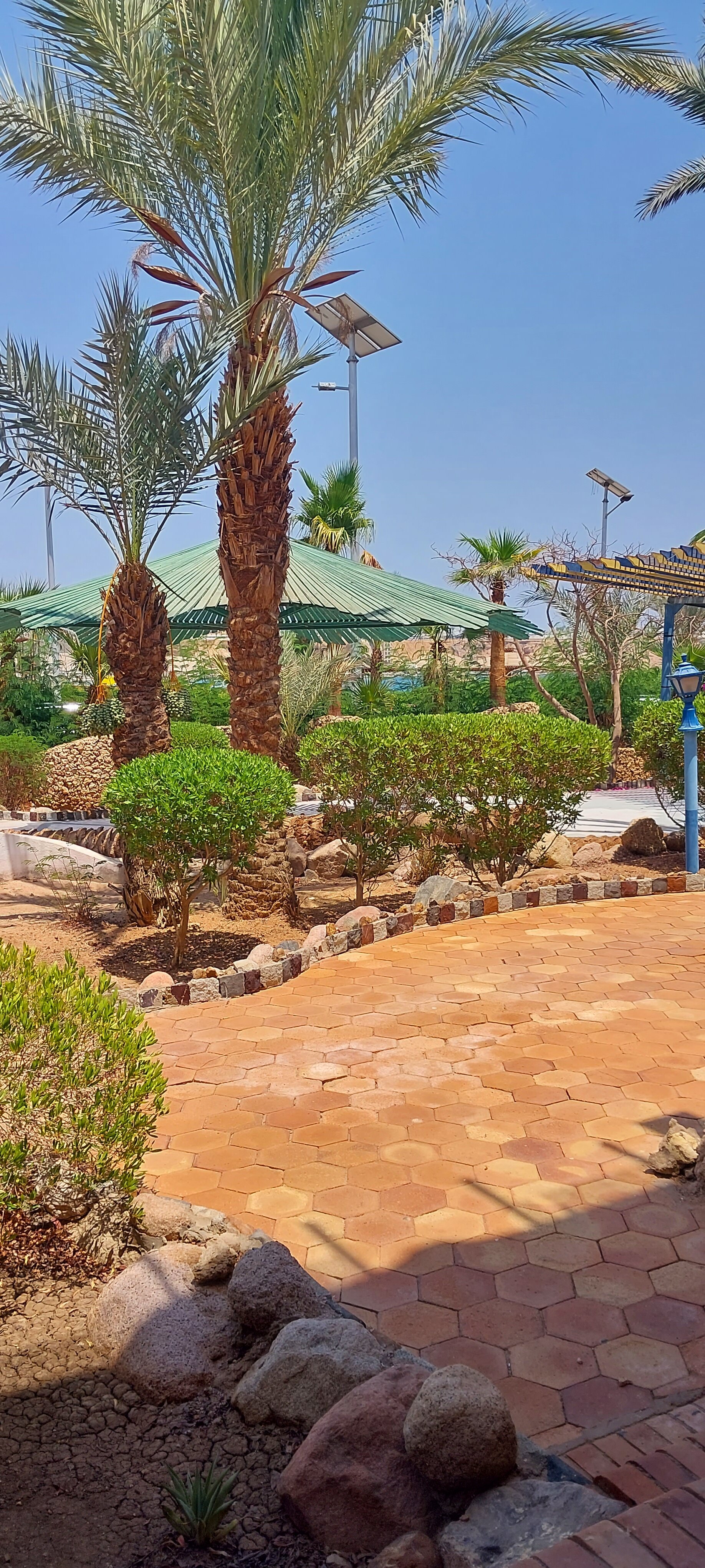Turquoise Beach Hotel-官方