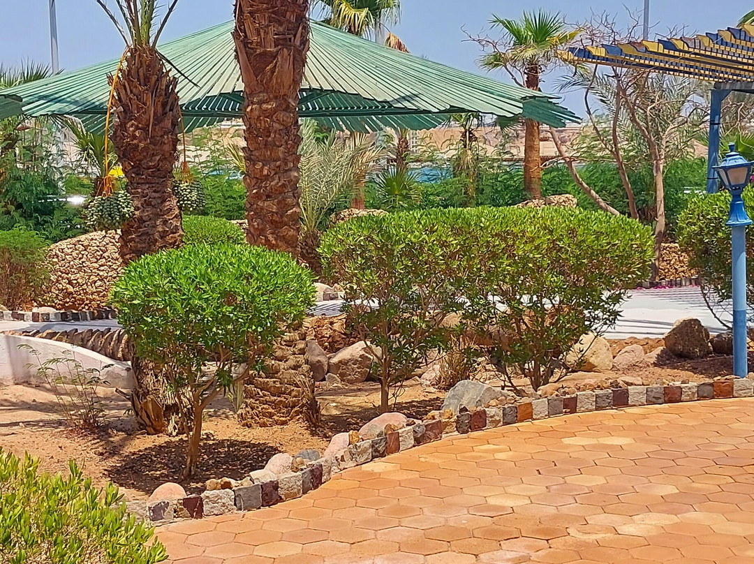 Turquoise Beach Hotel主图