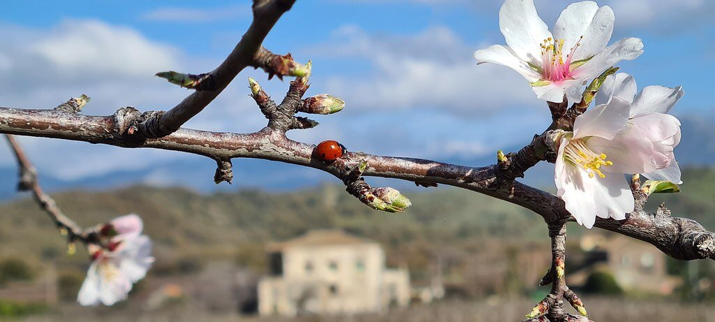 Casale 120 Winery-Rovittello必去景点