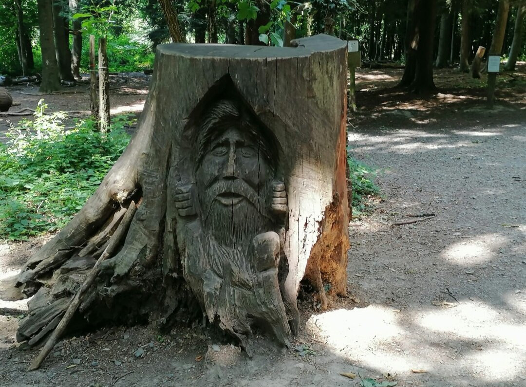 Wildpark Wiehl