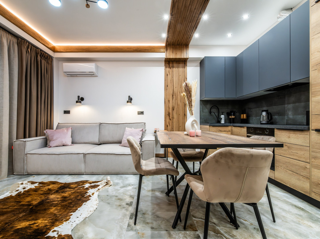 Apartments Oplot主图