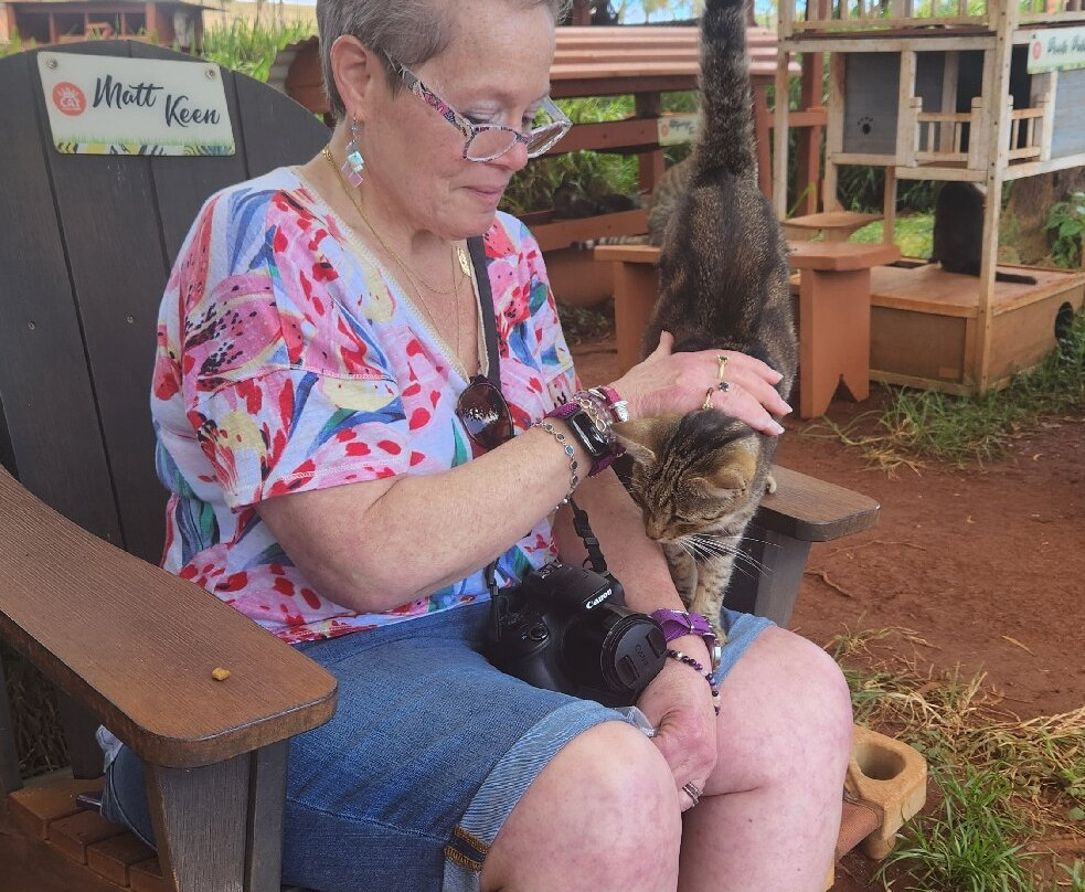 Lanai Jeep Rentals-拉奈市必去景点