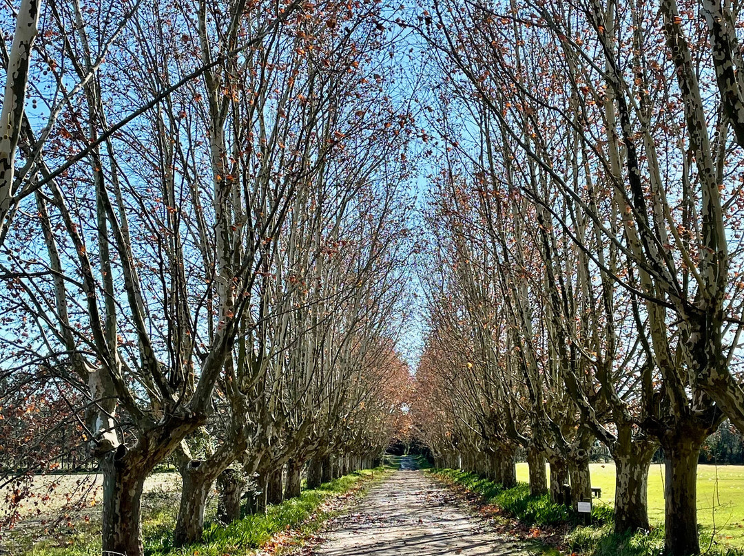 Estancia Don Joaquin主图