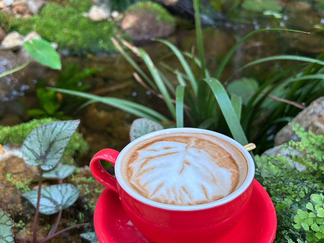 Cinéart Laforesta Cafe Bmt