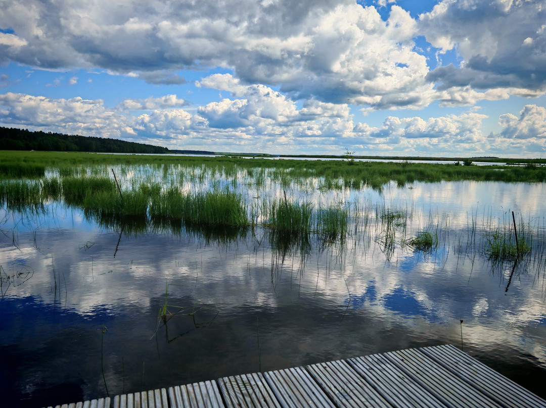 Lake Engure Nature Park-Engure必去景点