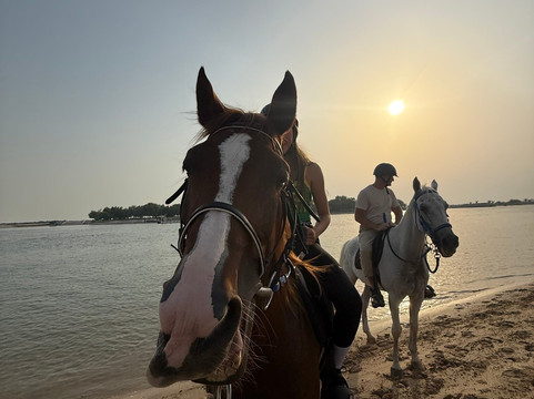 Sanam Stable-阿布扎比必去景点