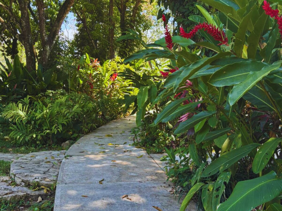 Hotel La Aldea del Halach Huinic主图