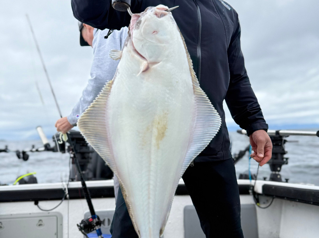 GO FISH Charters Ketchikan-凯奇坎必去景点