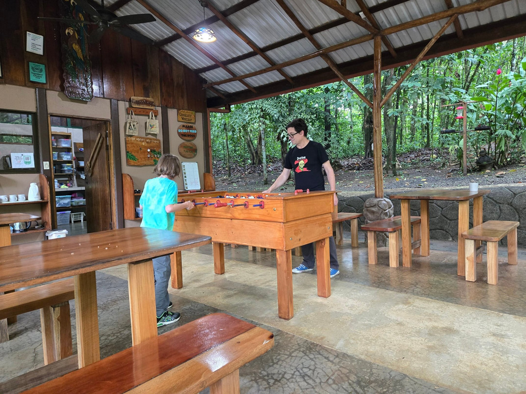 Tree Houses Hotel Costa Rica主图