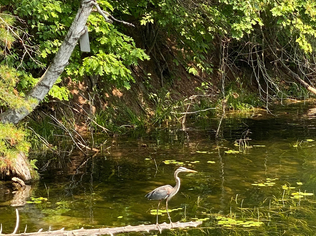 Le Boat-Smiths Falls必去景点