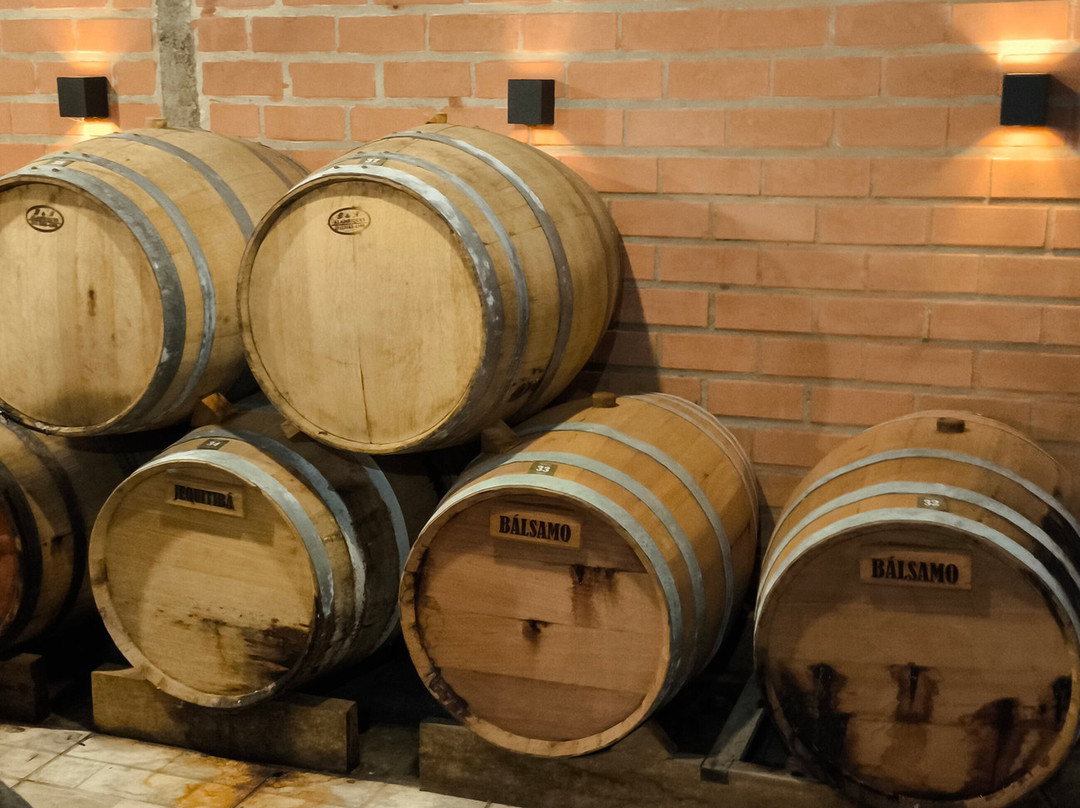 Ranch Santa Fe-Sao Francisco do Sul必去景点