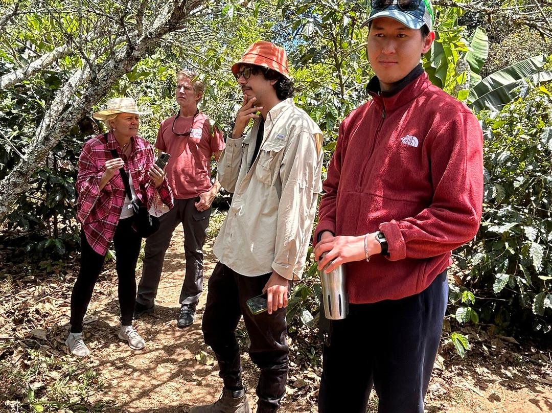 Academia Tica-圣何塞必去景点