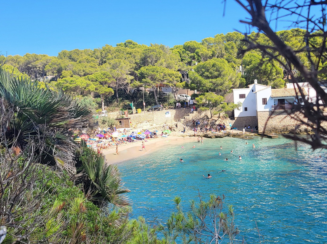 Cala Gat-Cala Ratjada必去景点