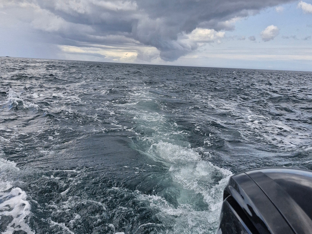 Ballintoy Boat Tours-Ballintoy必去景点
