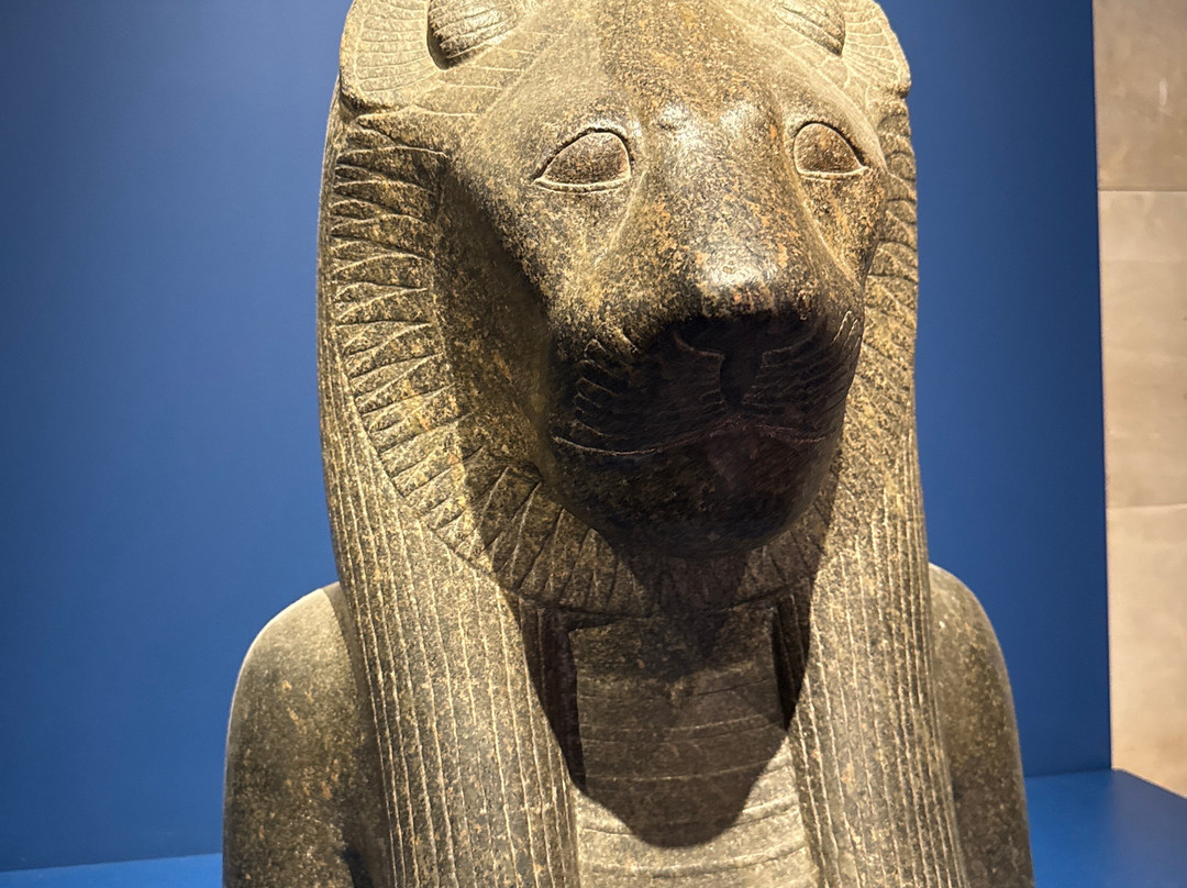 Musée d’Archéologie Méditerranéenne-马赛必去景点