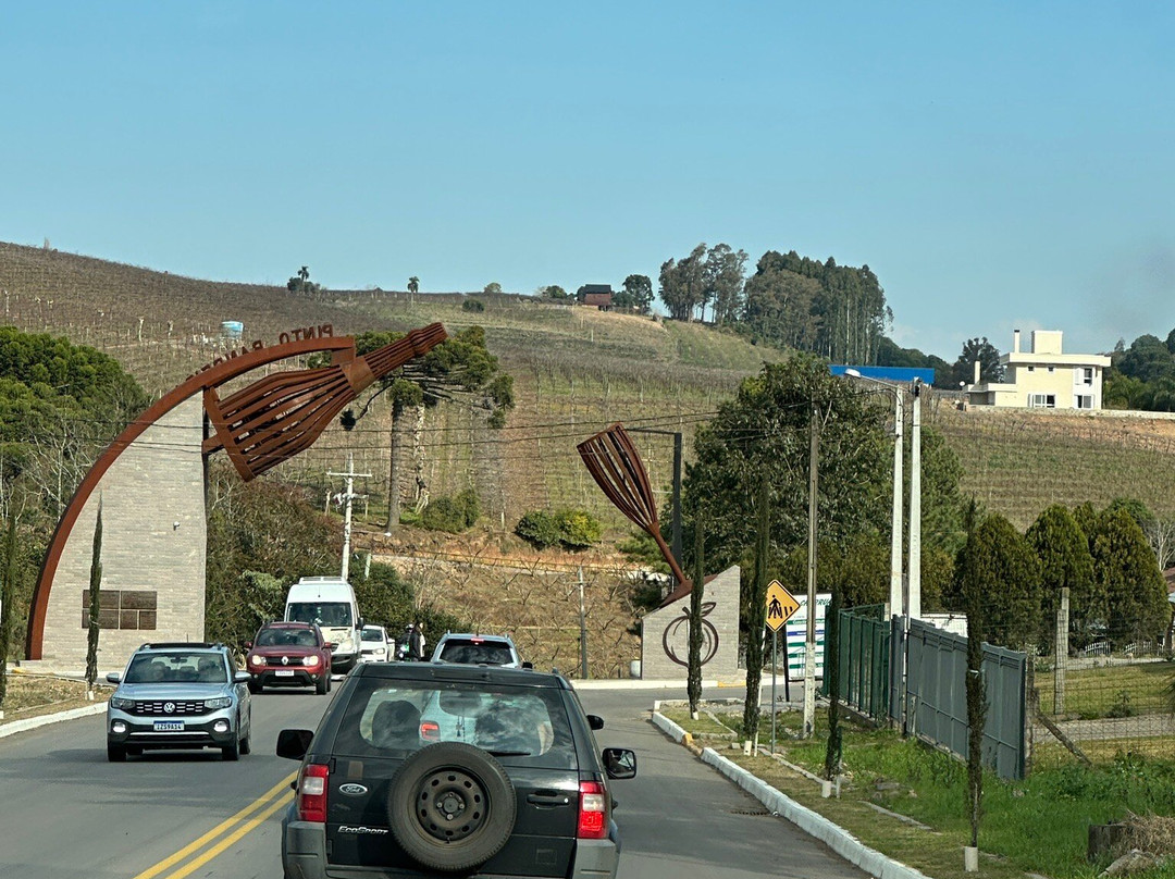 Pórtico De Acesso À Pinto Bandeira!