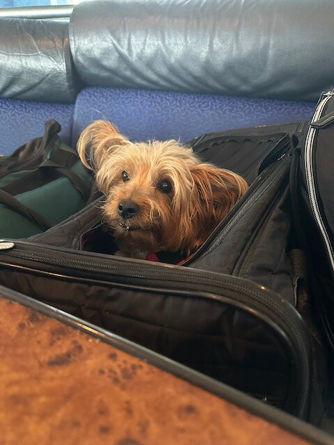 Key West Express-迈尔斯堡海滩必去景点