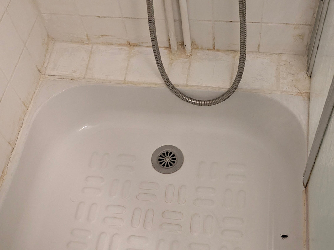 艾达普酒店主图
