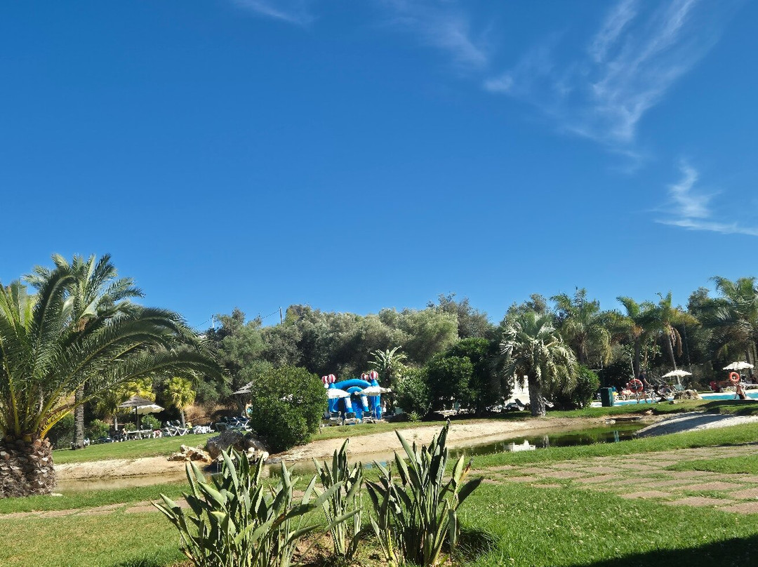 The Navigator - Palm Oasis Alvor
