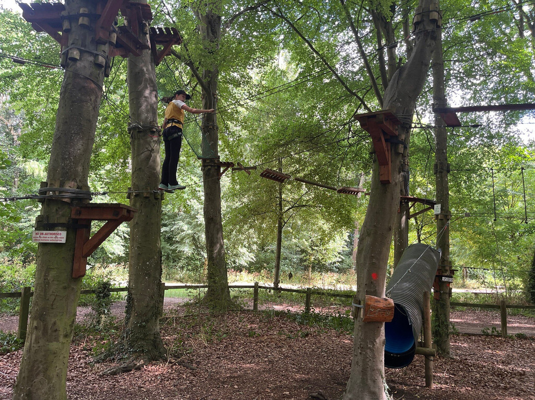 Jungle Parc-斯温顿必去景点