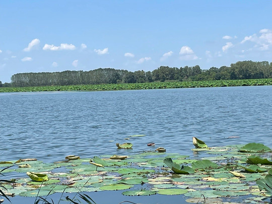 Pedalando Vai - Bike Rentals-明乔河畔瓦莱焦必去景点