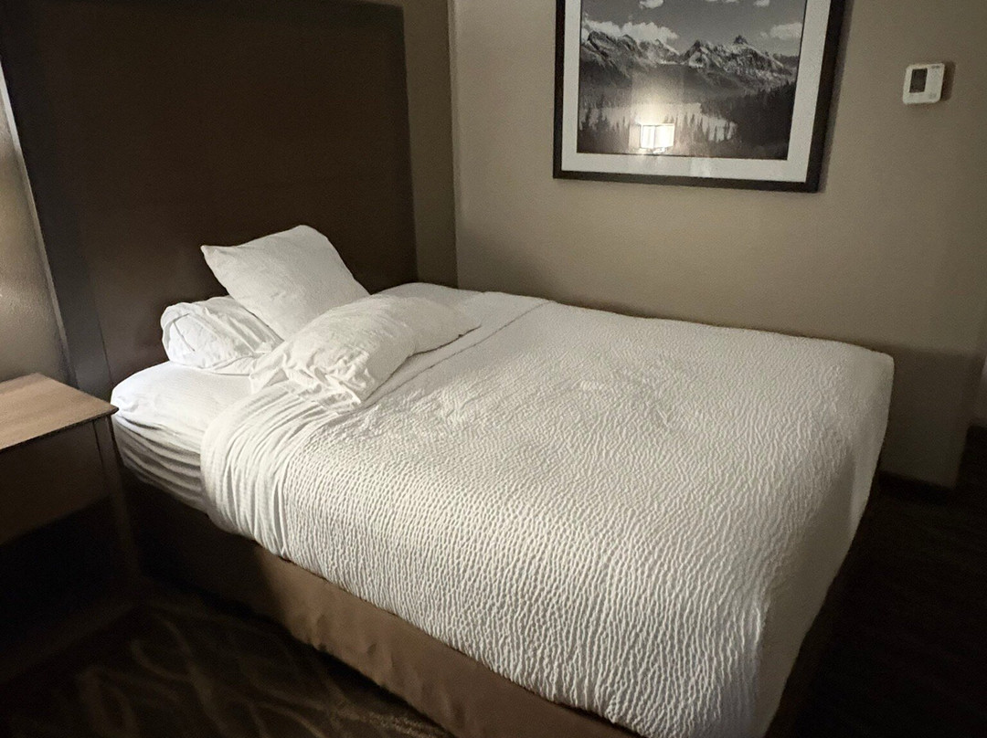 Best Western Plus Kalispell/Glacier Park West Hotel & Suites主图