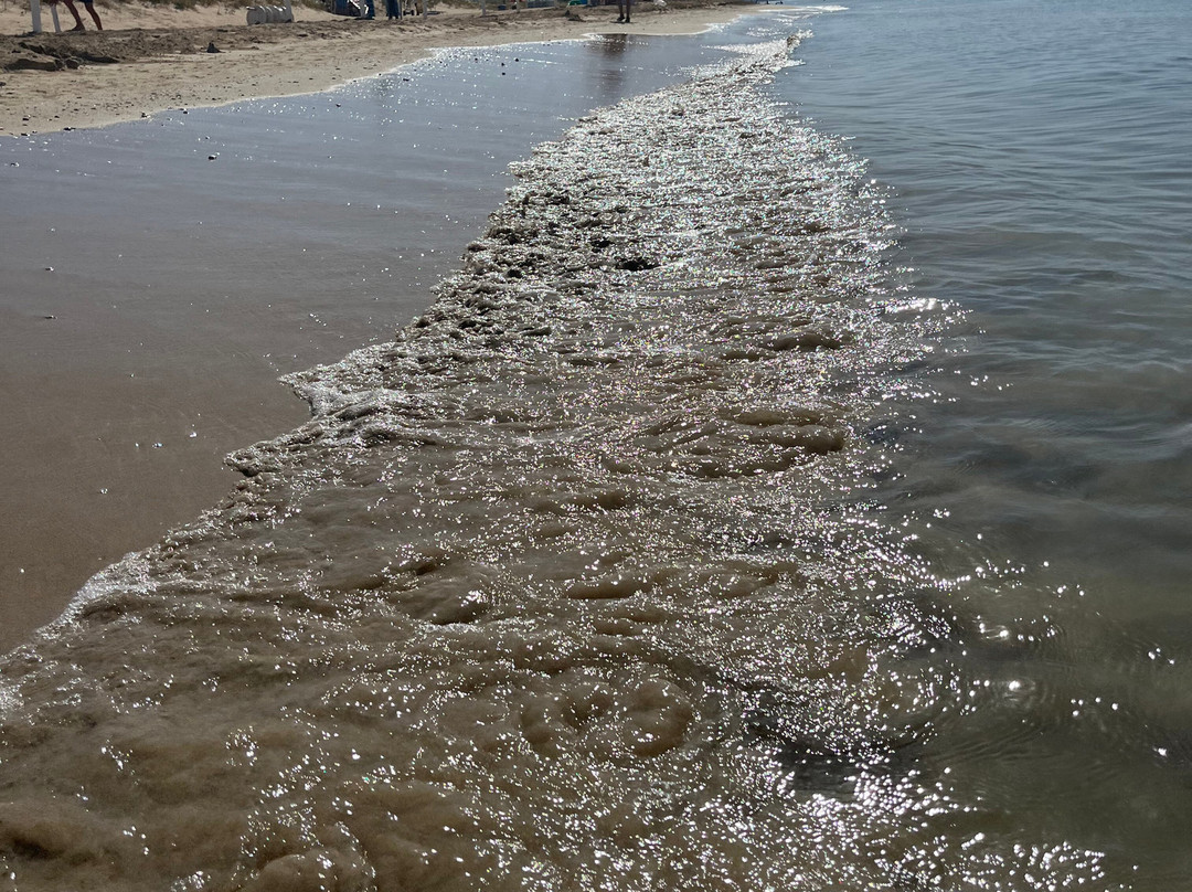 Papeete Salentino-Torre Pali必去景点