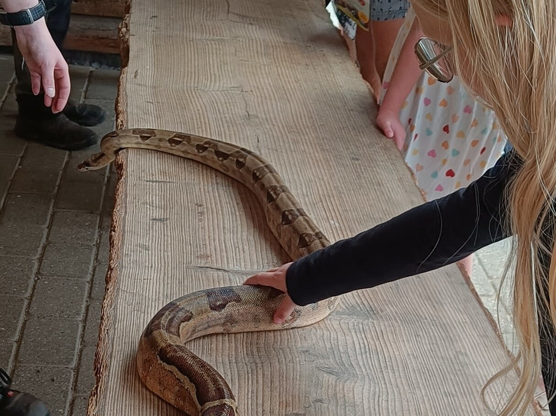 Blåvand Zoo-Blaavand必去景点