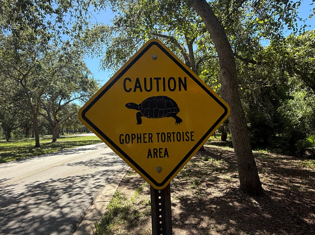 Fred Howard Park-塔彭斯普林斯必去景点