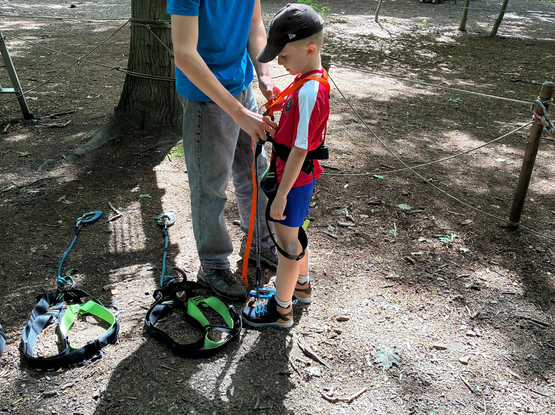 SpaForest-斯帕必去景点