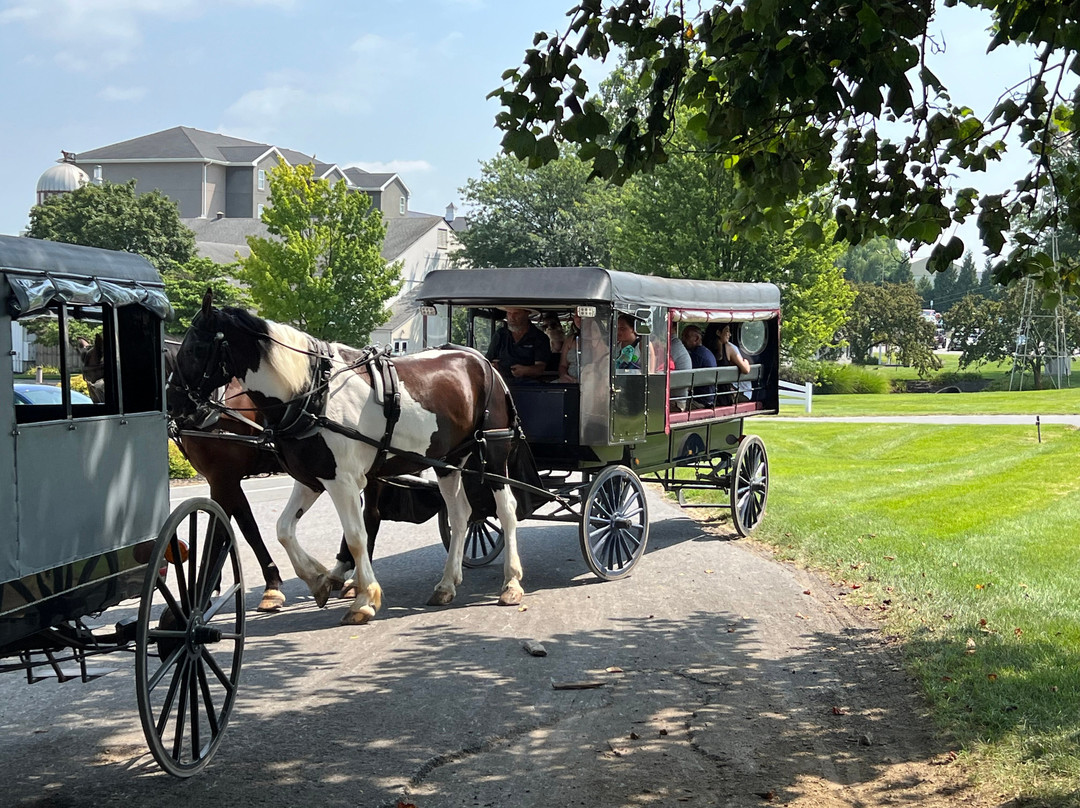 Aaron & Jessica's Buggy Rides-Bird in Hand必去景点