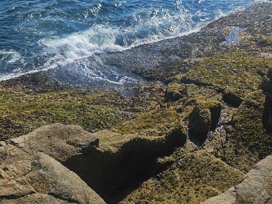 Battle of Aiken Reenactment-艾肯必去景点