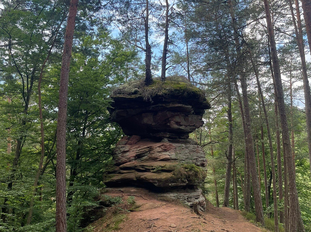 Dahner Felsenwanderweg-Dahn必去景点