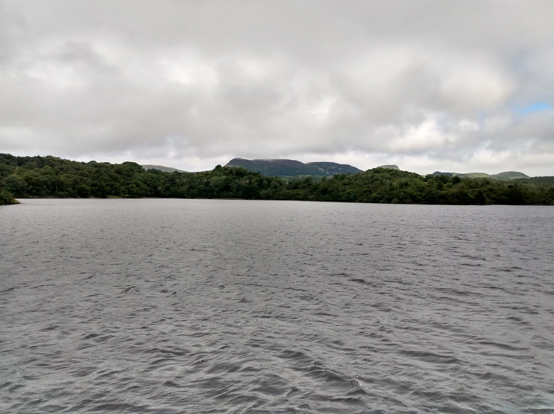 The Rose of Innisfree Tour Boat-斯莱戈必去景点